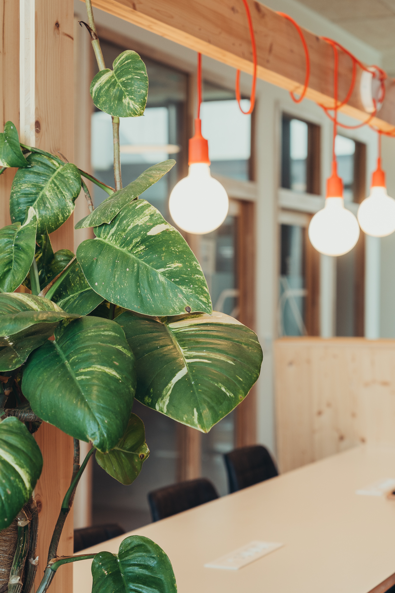 Rémi Duhamel Photography @remi_dhml (6) Espace de bar au Patio avec tabouret et plantes vertes