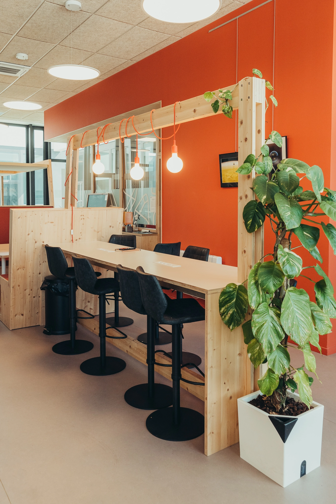 Espace Bar le Patio Espace de bar au Patio avec tabouret et plantes vertes